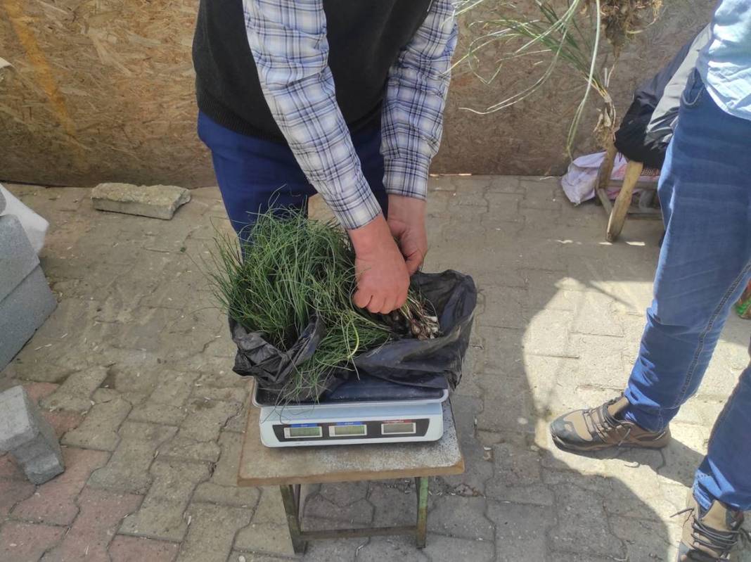 Sıfır sermaye ile dağdan toplayıp kilosu 5 bin TL'ye satıyor! Birçok rahatsızlığa iyi geliyor 8